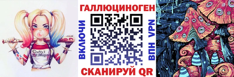 Купить  Буинск  Галлюциногенные грибы Psilocybine cubensis 